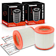 APEAF953 2 Pcs Engine Air Filter