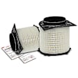 APEAF954 2 Pcs Engine Air Filter