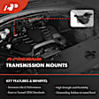 APEM2253 Front Transmission Mount