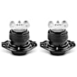 APEM256 2-Pc Front Engine Motor Mount Kit