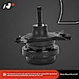 APEM273 2-Pc Front Engine Motor Mount Kit