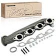 APEMD194 Right Exhaust Manifold with Gasket