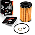 APEOF036 Engine Oil Filter