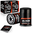 APEOF100 2 Pcs Engine Oil Filter