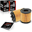 APEOF154 2 Pcs Engine Oil Filter