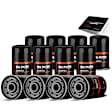 APEOF243PG 12 Pcs Engine Oil Filters