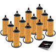APEOF252PG 12 Pcs Engine Oil Filters