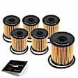 APEOF258PG 6 Pcs Engine Oil Filters
