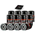 APEOF270PG 12 Pcs Engine Oil Filters