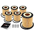 APEOF287PG 6 Pcs Engine Oil Filters