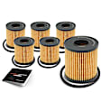 APEOF293PG 6 Pcs Engine Oil Filters