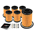 APEOF314PG 6 Pcs Engine Oil Filters
