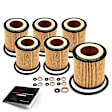 APEOF325PG 6 Pcs Engine Oil Filters