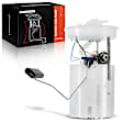 APFP0216 Fuel Pump Assembly