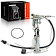 APFP0636 Fuel Pump Assembly
