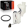 APFP0843 Fuel Pump Assembly