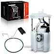 APFP1091 Fuel Pump Assembly