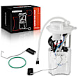 APFP1198 Fuel Pump Module Assembly