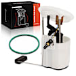APFP1245 Left Electric Fuel Pump Module Assembly
