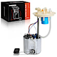 APFP1389 Fuel Pump Module Assembly