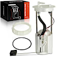 APFP1391 Fuel Pump Module Assembly