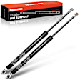 APGS0004 2x Rear Liftgate Lift Supports Shock Struts