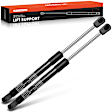 APGS0005 2x Rear Liftgate Lift Supports Shock Struts