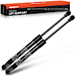 APGS0115 2x Front Hood Lift Supports Shock Struts