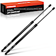 APGS0123 2x Rear Liftgate Lift Supports Shock Struts
