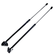 APGS0141 2x Rear Liftgate Lift Supports Shock Struts