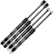 APGS0171 4 Pcs Hood & Tailgate Lift Supports Shock Struts