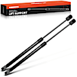 APGS0219 2x Rear Deck Lid Lift Supports Shock Struts