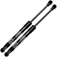 APGS0250 2x Rear Tailgate Lift Supports Gas Struts Extended 16.93in. Stroke 6.77in. 146N