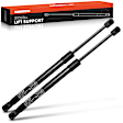 APGS0279 2x Rear Tailgate Lift Supports Shock Struts