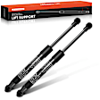 APGS0283 2x Rear Trunk Tailgate Lift Supports Shock Struts