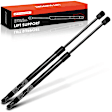 APGS0299 2x Rear Liftgate Lift Supports Shock Struts
