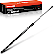 APGS0322 1x Front Hood Lift Support Shock Strut