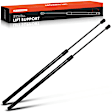 APGS0331 2x Rear Liftgate Lift Supports Shock Struts