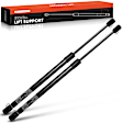 APGS0367 2x Rear Tailgate Lift Supports Shock Struts