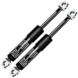APGS0370 2x Rear Tailgate Lift Supports Shock Struts