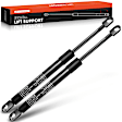 APGS0417 2x Rear Liftgate Lift Supports Shock Struts