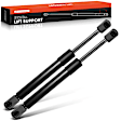 APGS0418 2x Front Hood Lift Supports Shock Struts