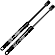 APGS0419 2x Front Hood Lift Supports Shock Struts