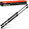 APGS0429 2x Rear Liftgate Lift Supports Shock Struts