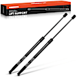 APGS0449PG 2x Front Hood Lift Supports Shock Struts