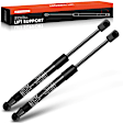 APGS0459 2x Rear Liftgate Lift Supports Shock Struts