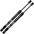 APGS0570 2x Rear Liftgate Lift Supports Shock Struts