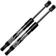 APGS0600 2x Rear Tailgate Lift Supports Shock Struts