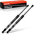 APGS0614 2x Rear Liftgate Lift Supports Shock Struts