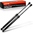 APGS0652 2x Rear Liftgate Lift Supports Shock Struts